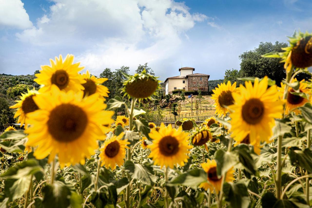 Agriturismo Fattoria La Palagina Figline Valdarno Exterior foto